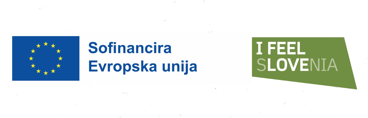 Projekt financira EU.